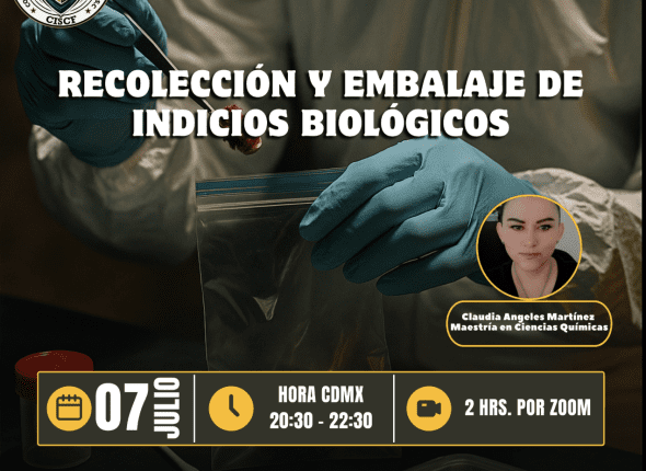 Captura de pantalla 2025-07-06 a las 12.13.42 a. m.